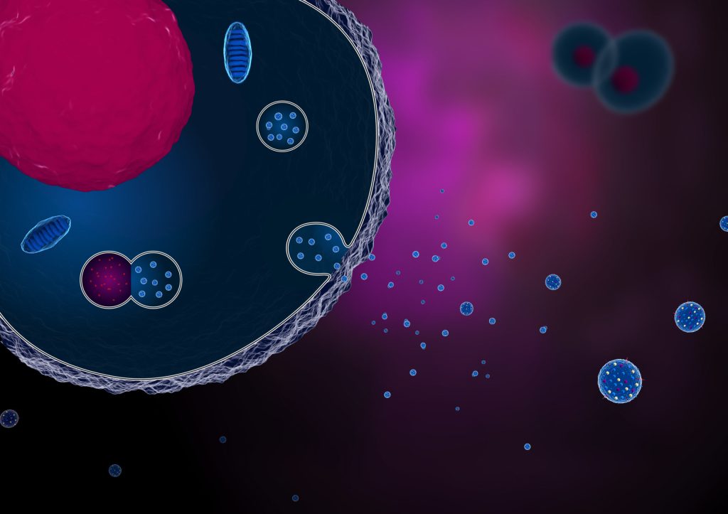 Animated diagram of Exosomes